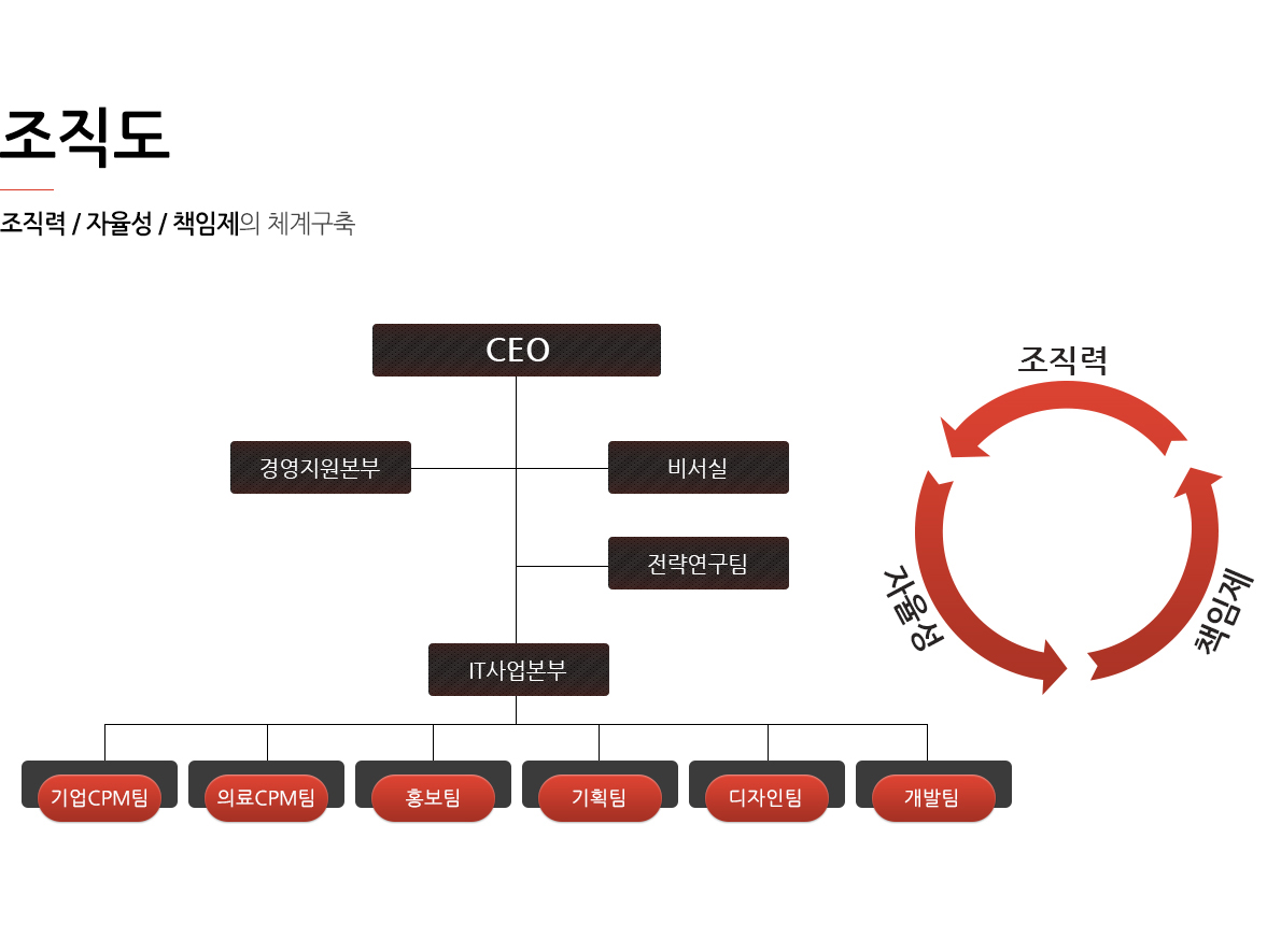 조직도:조직력, 자율성, 책임제의 체계구축 CEO, 경원지원본부, 비서실, 전략연구팀, IT사업본부(기업CPM팀, 의료CPM팀, 홍보팀, 기획팀, 디자인팀, 개발팀)